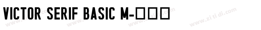 Victor Serif Basic M字体转换